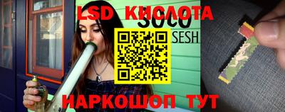 стафф Кинель