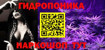 стафф Кинель